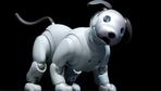 Ein KI-Abo für den elektrischen Hund