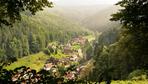 Drei Tage im Schwarzwald