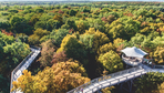 Der Thüringer Urwald