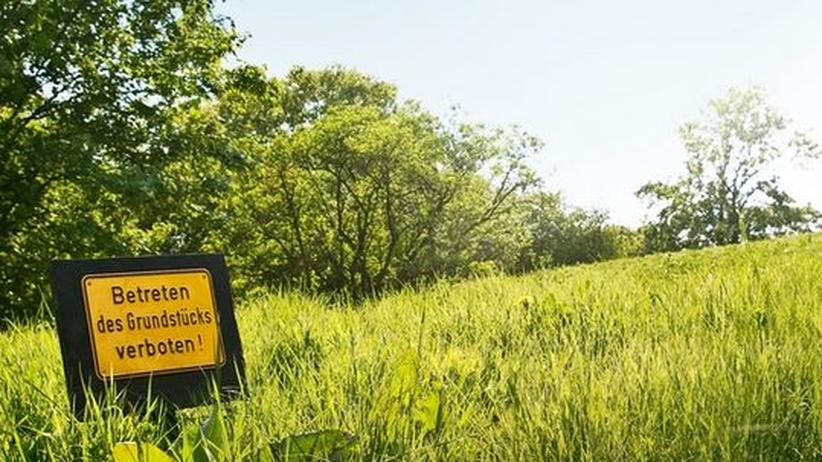 Moralnormen: Der Terror der Tugend