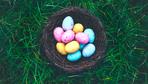 Was Sie über Ihr Osterei wissen sollten