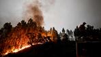Staatstrauer wegen verheerenden Waldbrands