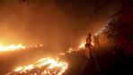 Mehrere Tote bei Waldbränden