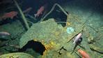 Verschollenes U-Boot nach 103 Jahren gefunden