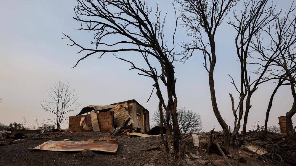 Griechenland Zwei Weitere Tote Bei Schweren Waldbr Nden In