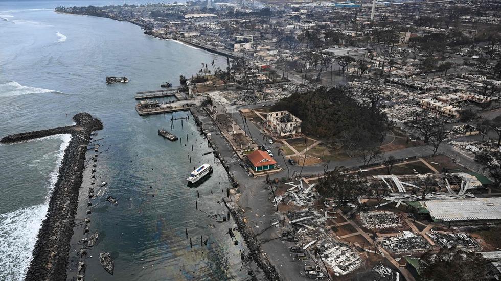 Hawaii Zahl der Toten bei Waldbränden in Hawaii steigt auf 67 ZEIT