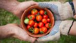 Gesund ernähren – aber wie?