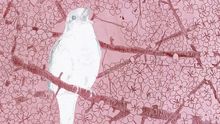Wiegenlieder (46): Kommt gezogen, kleine Vögel
