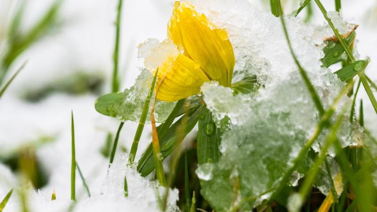 Wetter Regen Schnee Und Gl Tte Im S Dwesten Zeit Online