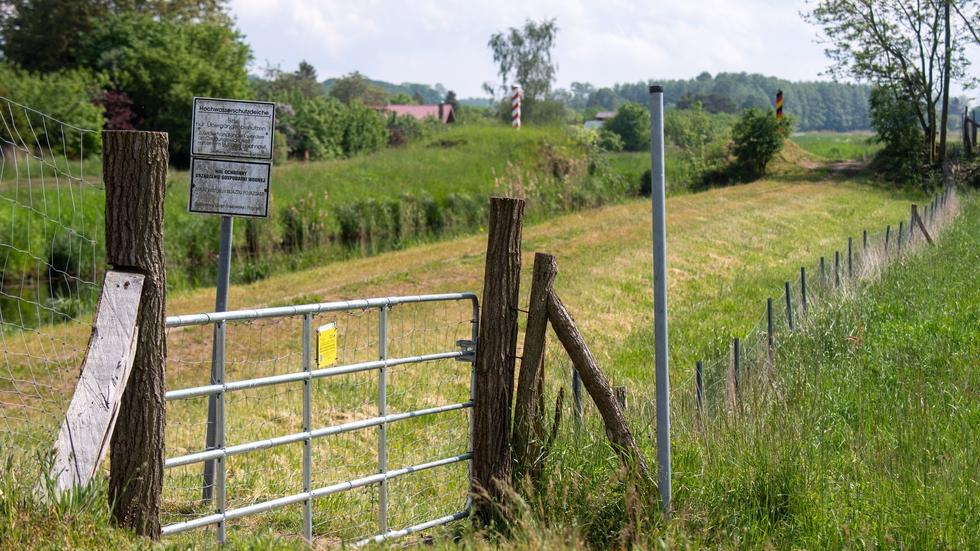 Tiere Schweinepest Zaun Vier Tote Rehe Und Hirsche In Einem Jahr