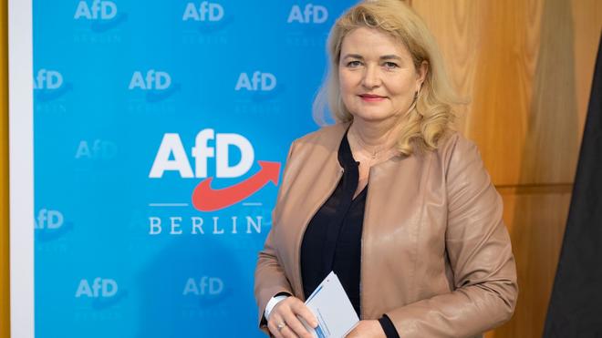 Afd Brinker Bleibt Berliner Afd Vorsitzende Zeit Online