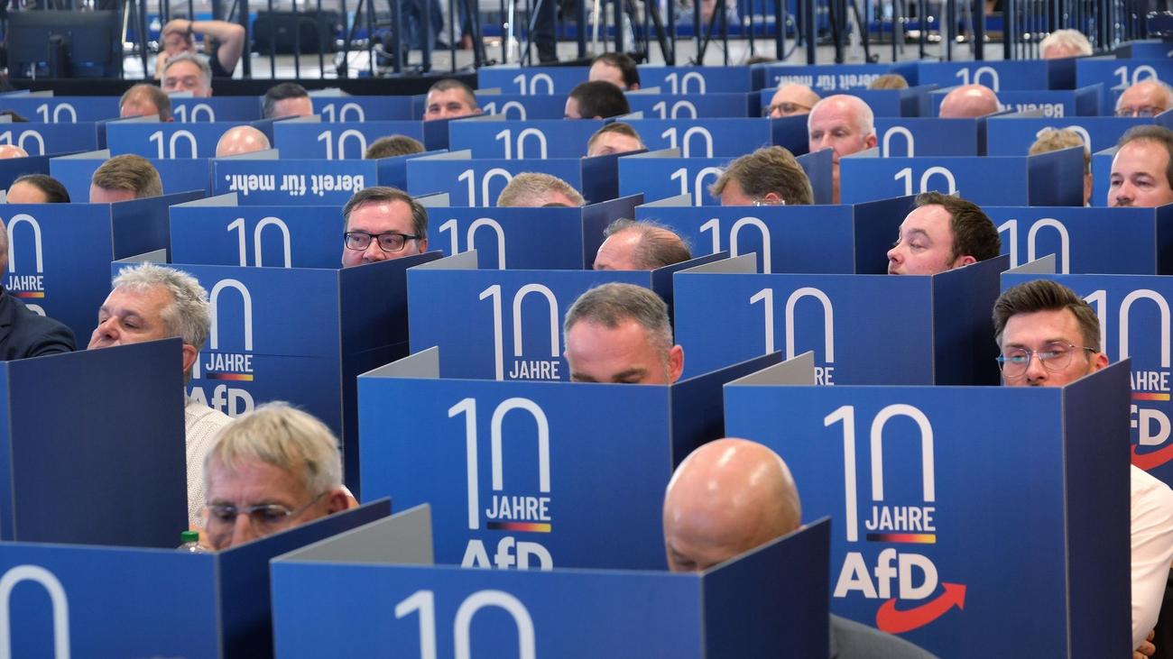 Europawahl Afd Kandidaten F R Dexit Und Gegen Multikulti Zeit