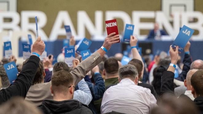 Parteien Afd Ber T Programm Und Kandidaten Zur Landtagswahl Zeit Online