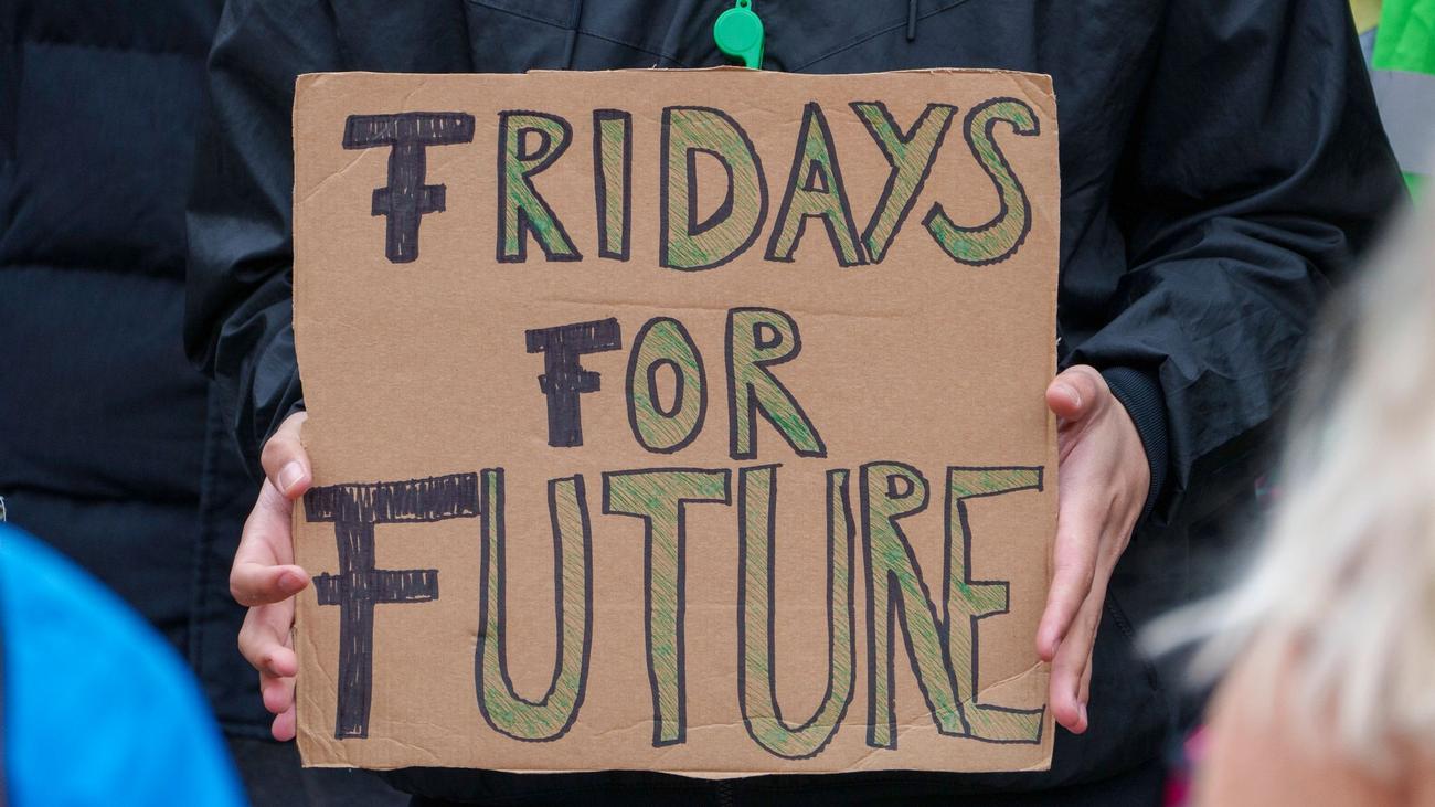 Klima Fridays For Future Ruft Vor Europawahl Zu Klimastreiks Auf