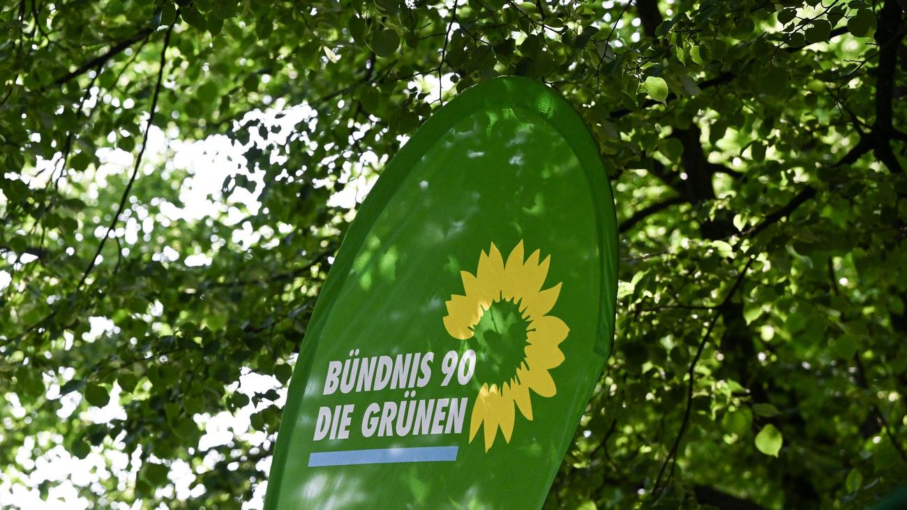 Richtungsstreit der Grünen Auch Vorstand der Grünen Jugend NRW tritt