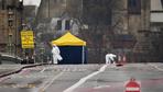 "Lone wolves" sind extrem selten