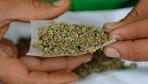 Kanada will Marihuana legalisieren