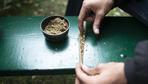 Luxemburg legalisiert Cannabis für privaten Gebrauch
