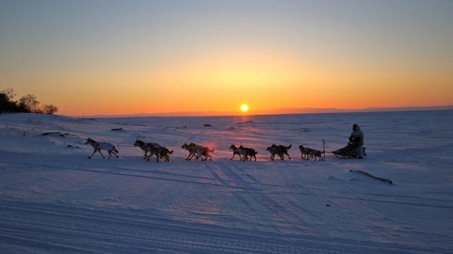Ein Iditarod-Team erreicht Koyuk, eines der Zwischenziele.
