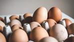 Deutschland blockiert Veröffentlichungen über belastete Eier