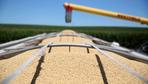 Import von Sojabohnen aus den USA hat sich vervierfacht