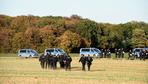 Gericht hebt Demonstrationsverbot am Hambacher Forst auf