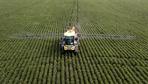 Bayer-Aktie verliert nach Urteil gegen Monsanto