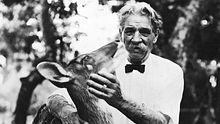 Albert Schweitzer (1875–1965): Theologe, Orgelvirtuose, Arzt