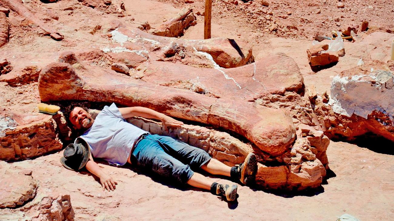 Argentinien: Gr\u00f6\u00dfter Dinosaurier aller Zeiten entdeckt  ZEIT ONLINE