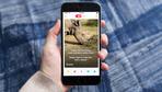 Tinder will das letzte Nashorn retten