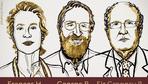 Nobelpreis für gerichtete Evolution von Enzymen