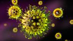 USA erleben die heftigste Grippe seit Jahren