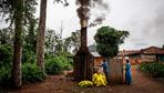 Bereits mehr als 200 Ebola-Tote