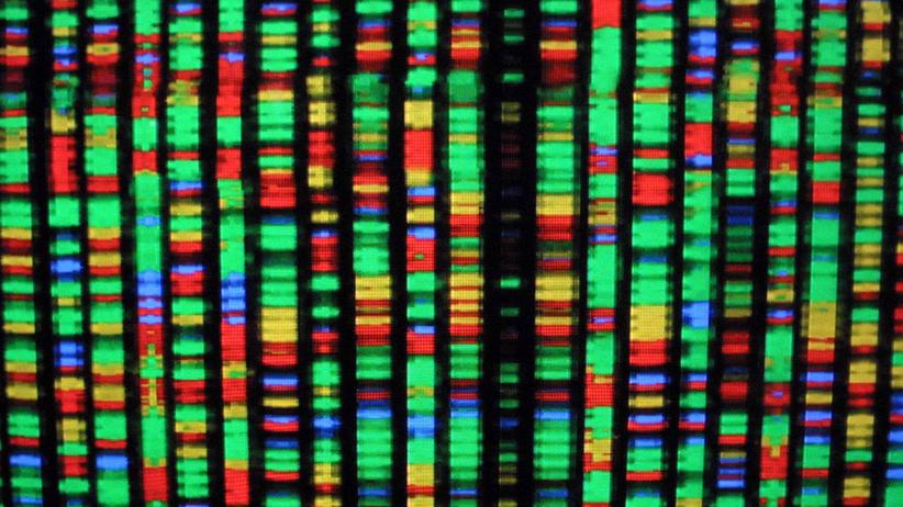 Chemie-Nobelpreis: "Du solltest dieses DNA-Zeug lernen"
