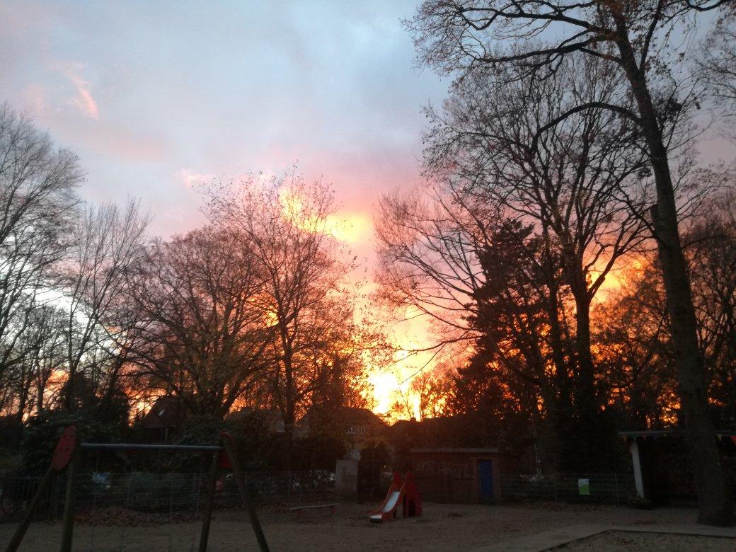 Ja, wir haben verstanden! Sie lieben dramatische Sonnenuntergänge! Gestern erreichten uns viele Bilder vom Hamburger Abendhimmel, der am Dienstag rosarot leuchtete. Hier sehen Sie, wie die untergehende Sonne die Bäume im Stadtpark brennen ließ – aber nehmen Sie das bitte nicht wörtlich! Ein Mann aus Langenhorn rief sogar die Feuerwehr, weil er beim Anblick der rot getünchten Wolken einen Brand in der Nachbarschaft vermutete. In der Notrufzentrale konnte man ihn schnell beruhigen. Es komme immer wieder mal vor, dass Leute das Abendrot mit Flammen verwechselten, sagte ein Sprecher der Feuerwehr. 