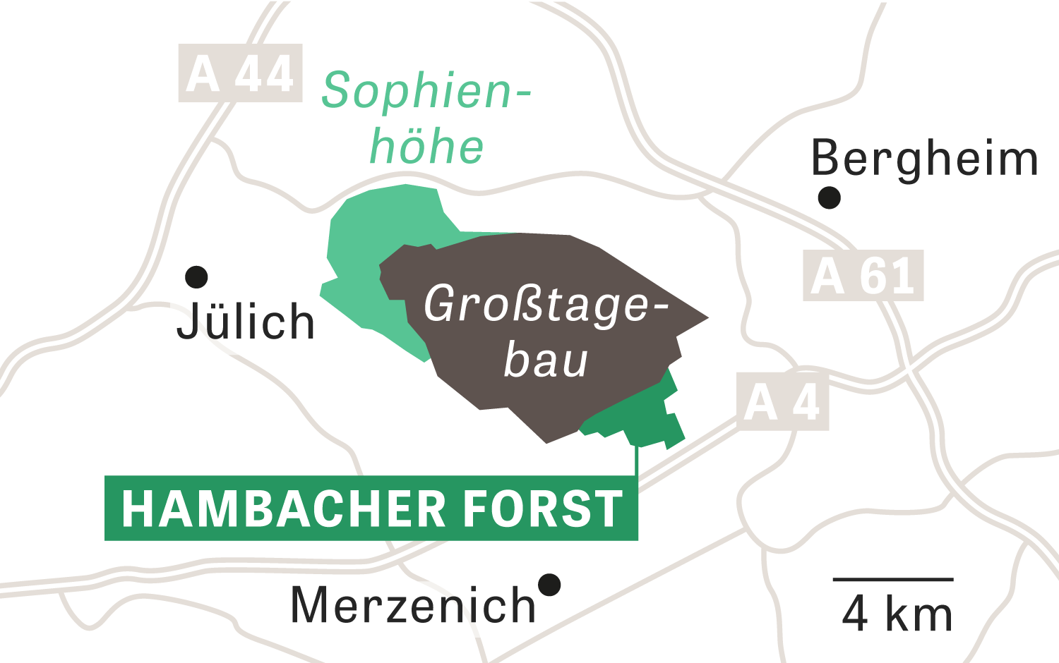 Hambacher Forst: Holz gegen Kohle | ZEIT ONLINE