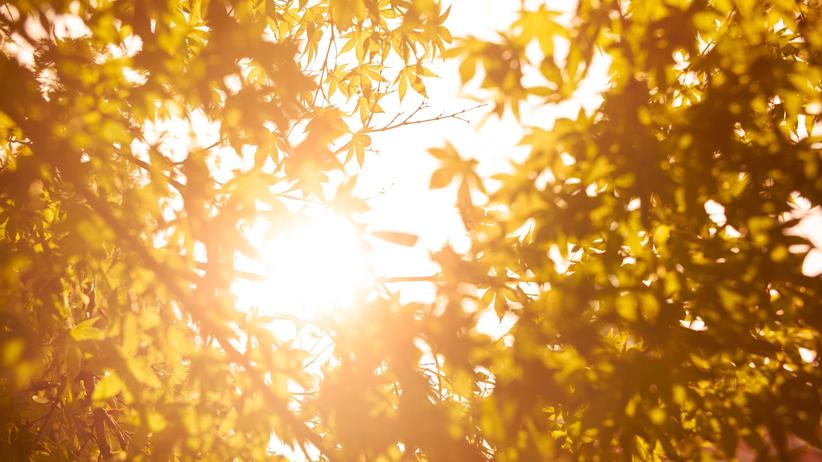 Krebserkrankung: Nach einer Krebserkrankung müssen die Betroffenen ihre Grenzen neu erkunden.