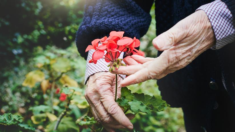 Pflegebedürftige Angehörige: "Meine Oma ist für mich die Verbindung zu einer anderen Welt. Der Welt meiner Kindheit."