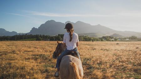 Pferde: Das Leben als Ponyhof | ZEIT ONLINE Pferde: Das Leben als Ponyhof | ZEIT ONLINE