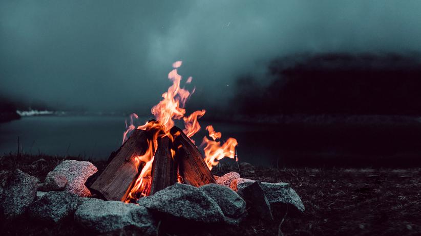 Kochen Am Anfang War Das Feuer Zeit Online