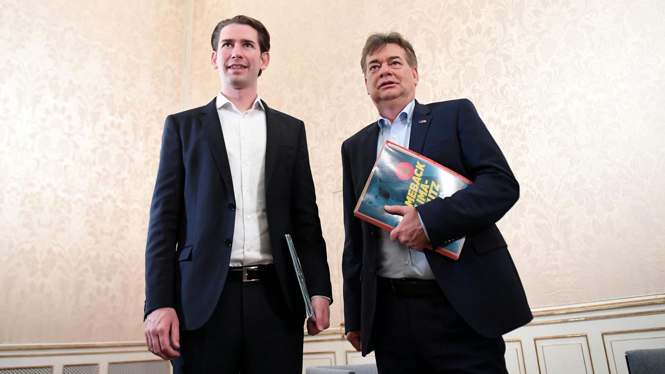 Sebastian Kurz und Werner Kogler: Könnte passen | ZEIT ONLINE