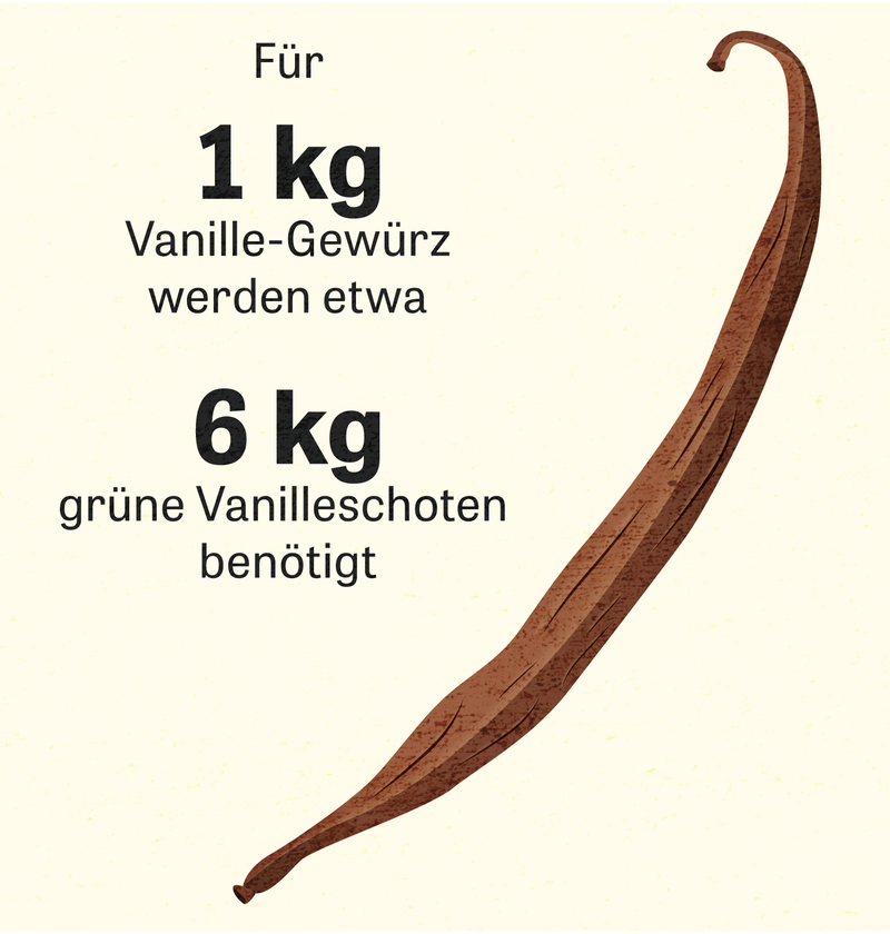 proteinpulver ohne künstliche süßstoffe Bio Whey Protein Pulver mit Schoko-Geschmack – Fairnatural® main image 0