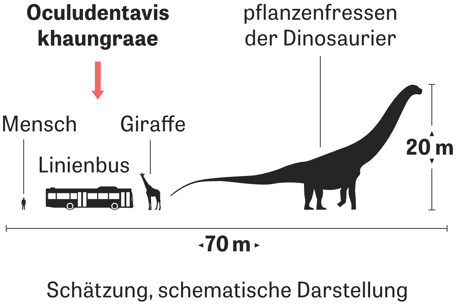 Palaontologie Der Kleine Dino Zeit Online