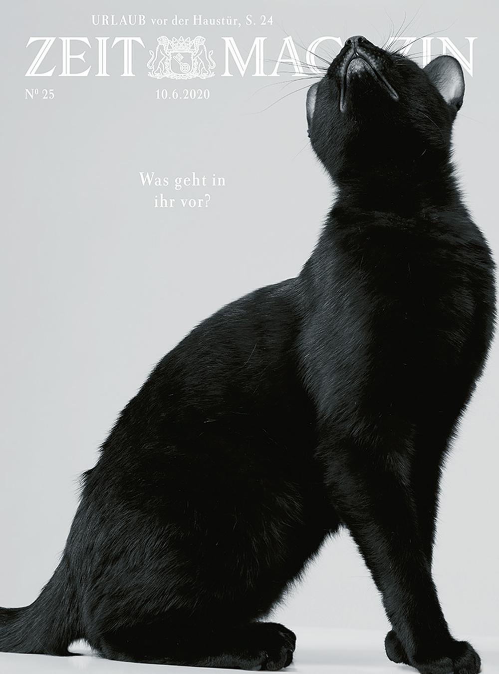 Eine Katze - thematische Zusammenarbeit zwischen er Louis Vuitton