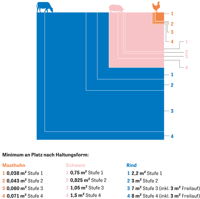 https://img.zeit.de/2020/37/massentierhaltung-tierschutz-landwirtschaft-platz-minimum-infografik/original__660x657__desktop