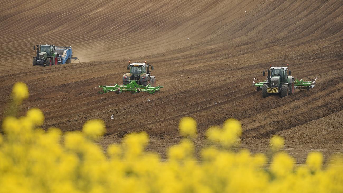 Landwirtschaft Und Umweltschutz Geht Das Nicht Gruner Zeit Online