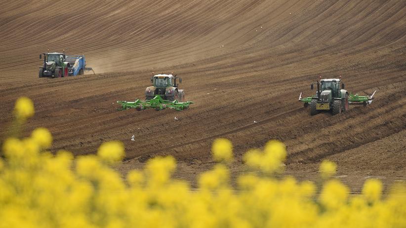 Landwirtschaft und Umweltschutz: Geht das nicht grüner? | ZEIT ONLINE