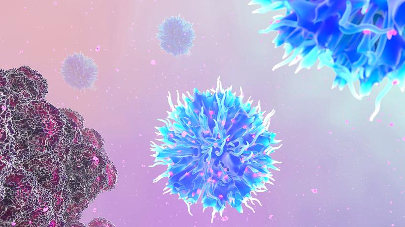 immunsystem-koerper-zellen-antikoerper-forschung-coronavirus-medizin