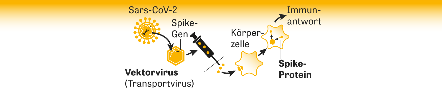 Impfstoffe gegen Corona: Hoffnungsträger | ZEIT ONLINE