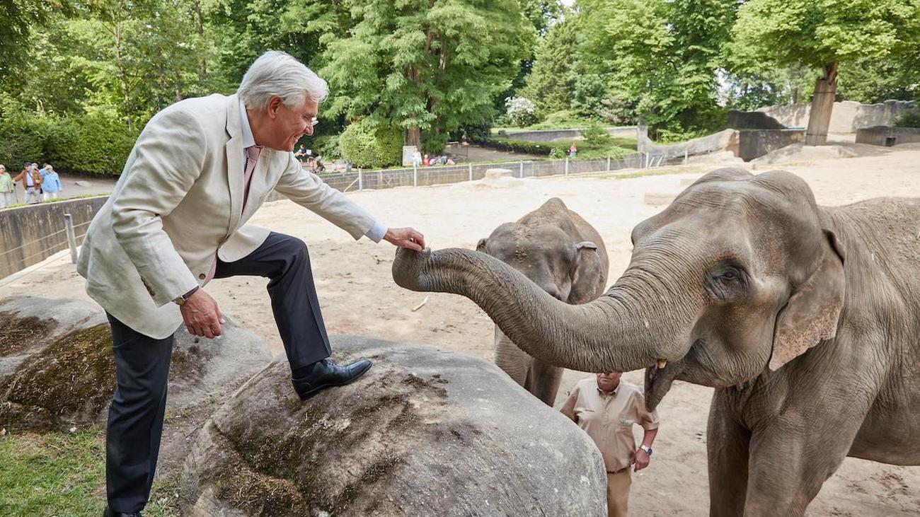 Was ist los bei Hagenbeck?